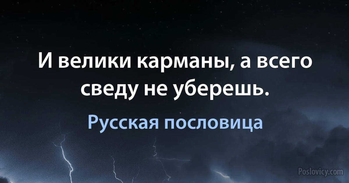 И велики карманы, а всего сведу не уберешь. (Русская пословица)