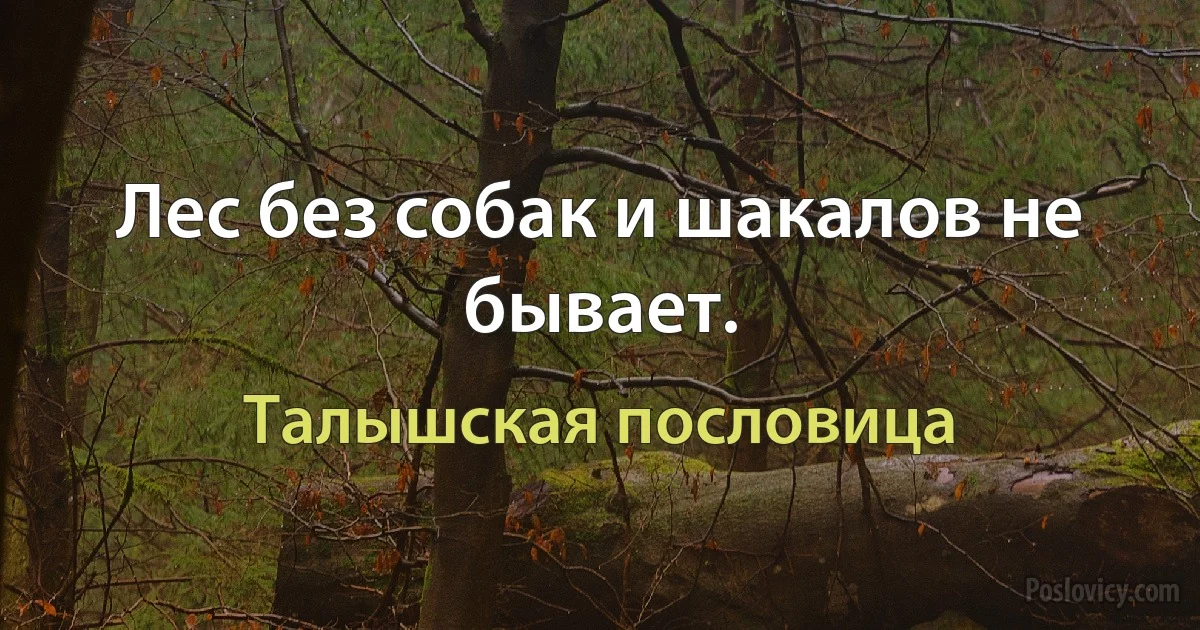 Лес без собак и шакалов не бывает. (Талышская пословица)