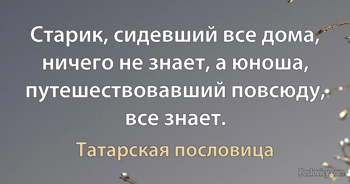 Старик, сидевший все дома, ничего не знает, а юноша, путешествовавший повсюду, все знает. (Татарская пословица)