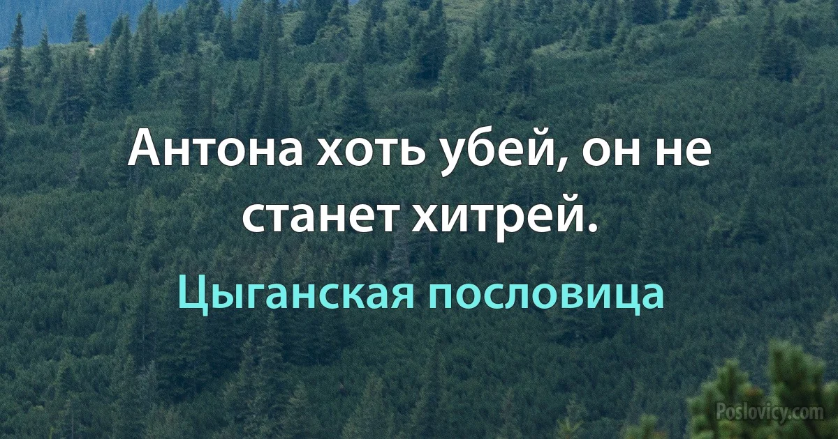 Антона хоть убей, он не станет хитрей. (Цыганская пословица)