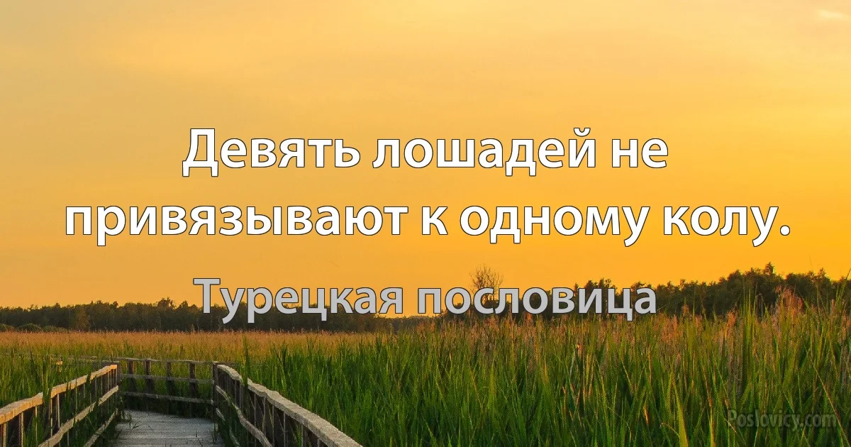 Девять лошадей не привязывают к одному колу. (Турецкая пословица)