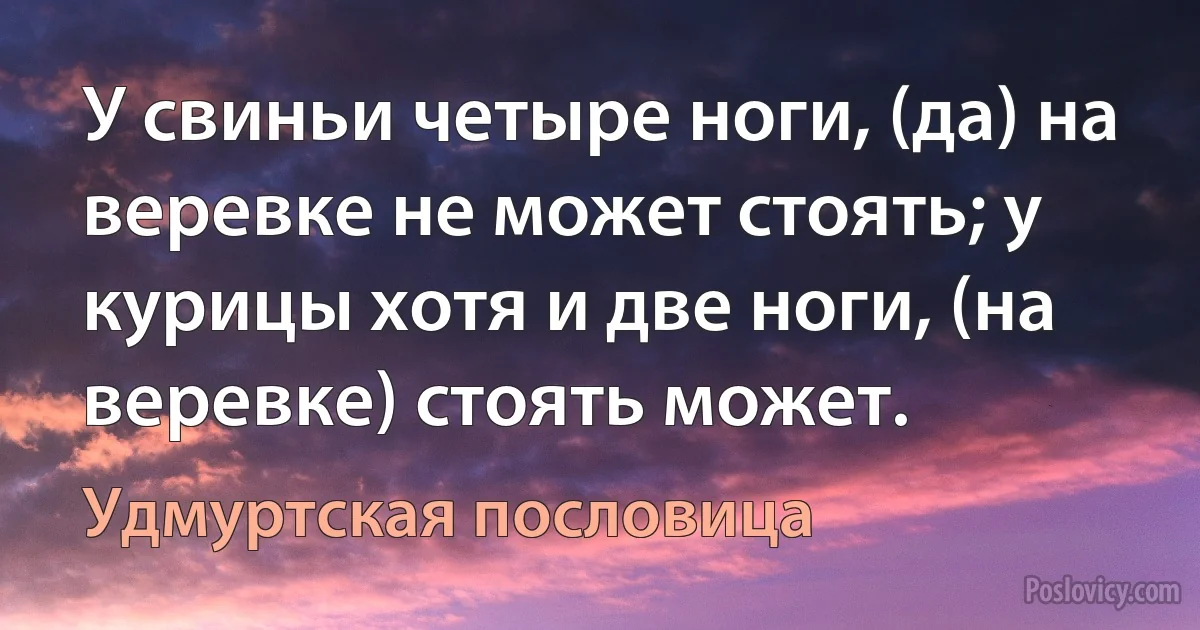 У свиньи четыре ноги, (да) на веревке не может стоять; у курицы хотя и две ноги, (на веревке) стоять может. (Удмуртская пословица)