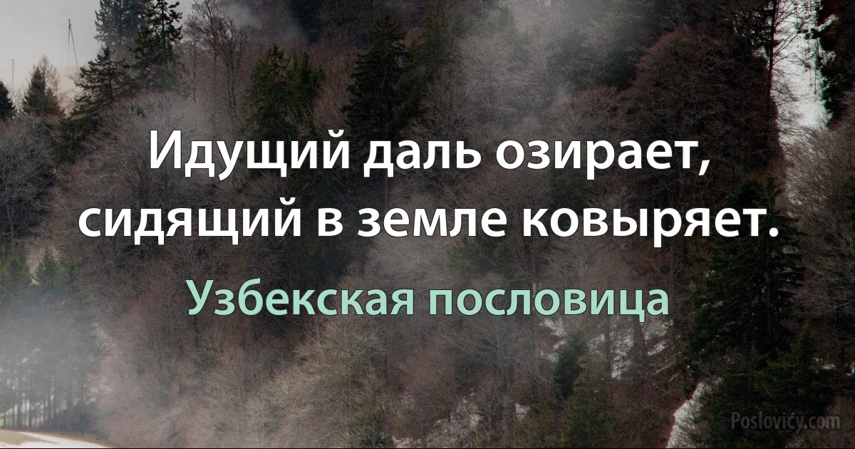 Идущий даль озирает, сидящий в земле ковыряет. (Узбекская пословица)