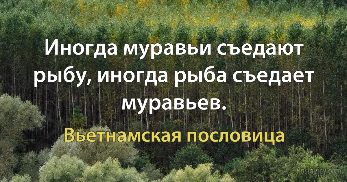 Иногда муравьи съедают рыбу, иногда рыба съедает муравьев. (Вьетнамская пословица)