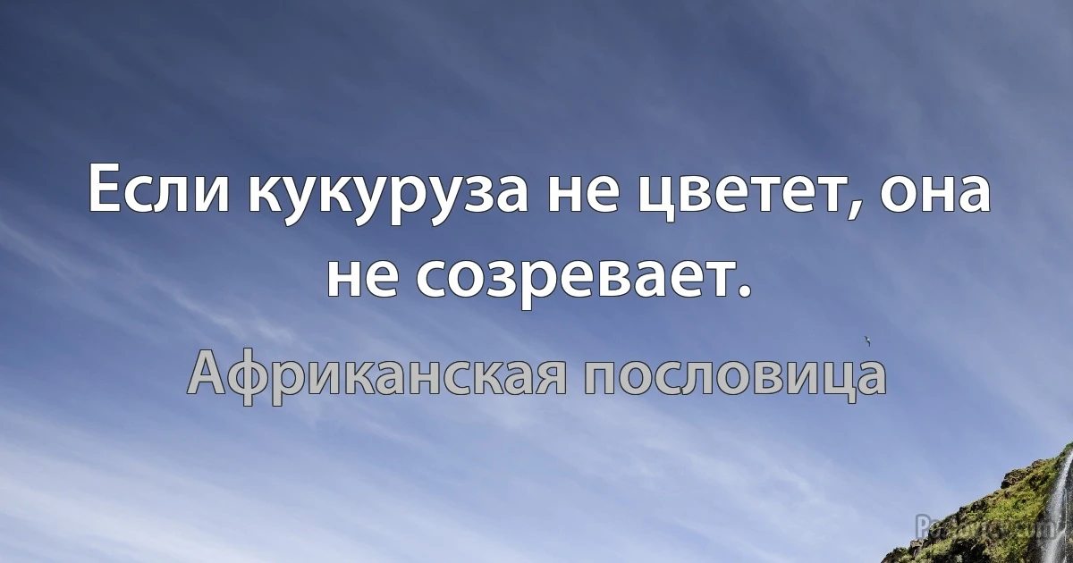 Если кукуруза не цветет, она не созревает. (Африканская пословица)