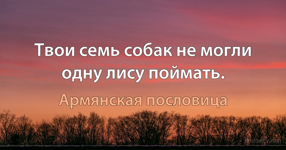 Твои семь собак не могли одну лису поймать. (Армянская пословица)