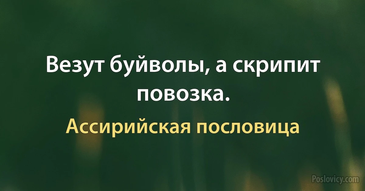 Везут буйволы, а скрипит повозка. (Ассирийская пословица)