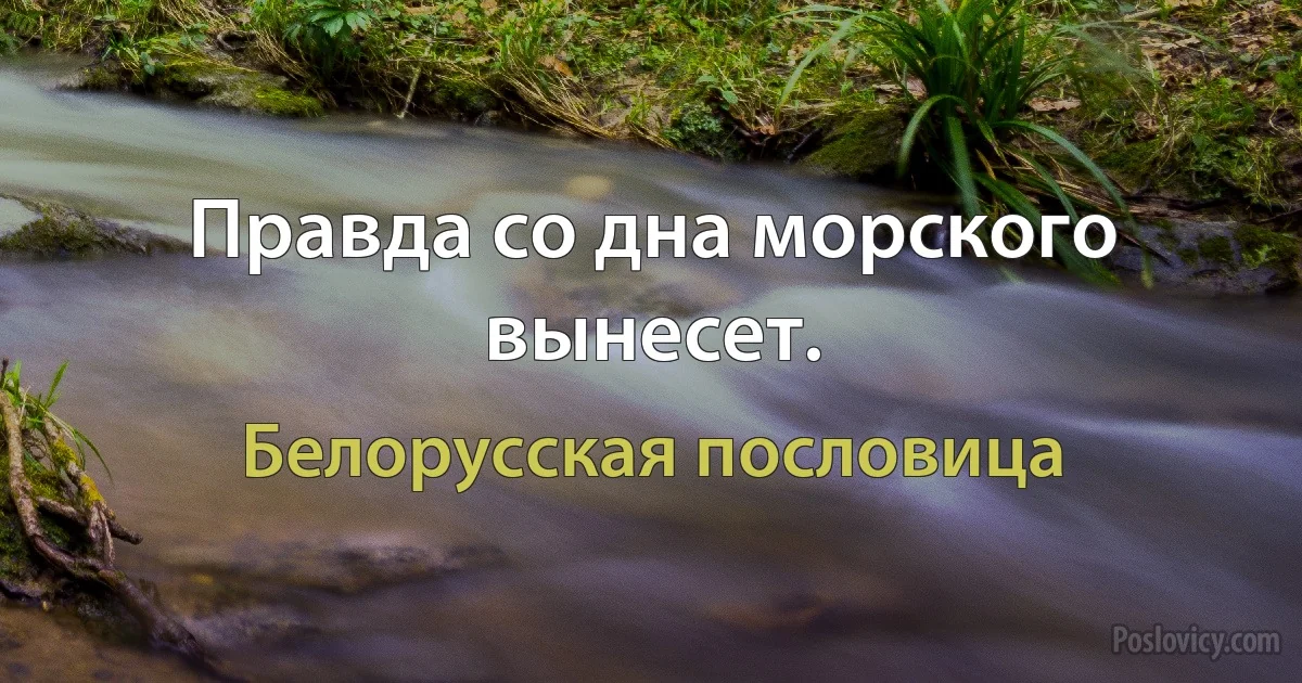 Правда со дна морского вынесет. (Белорусская пословица)