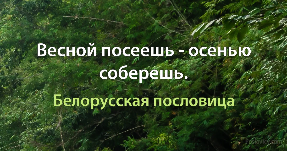 Весной посеешь - осенью соберешь. (Белорусская пословица)