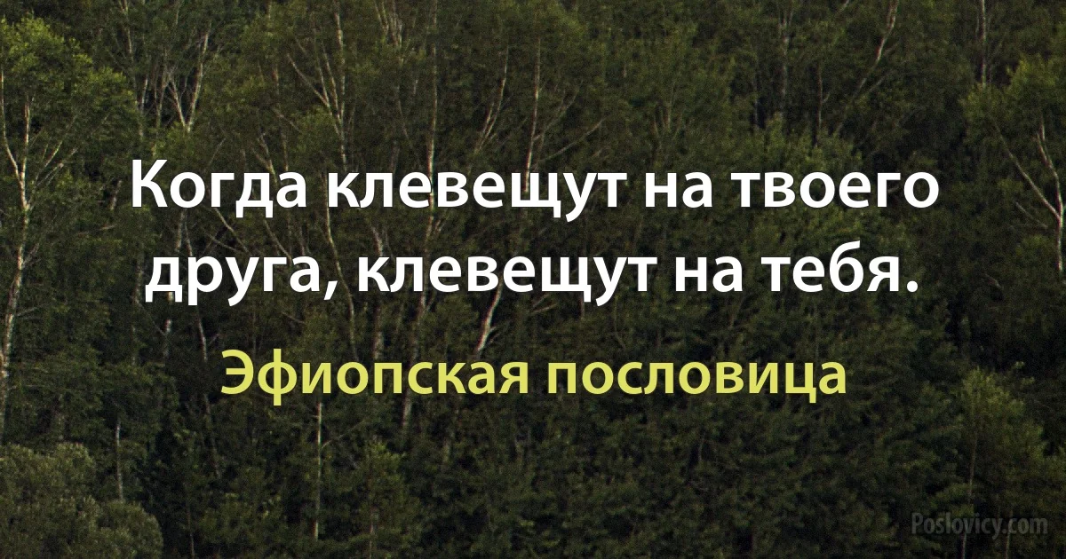 Когда клевещут на твоего друга, клевещут на тебя. (Эфиопская пословица)