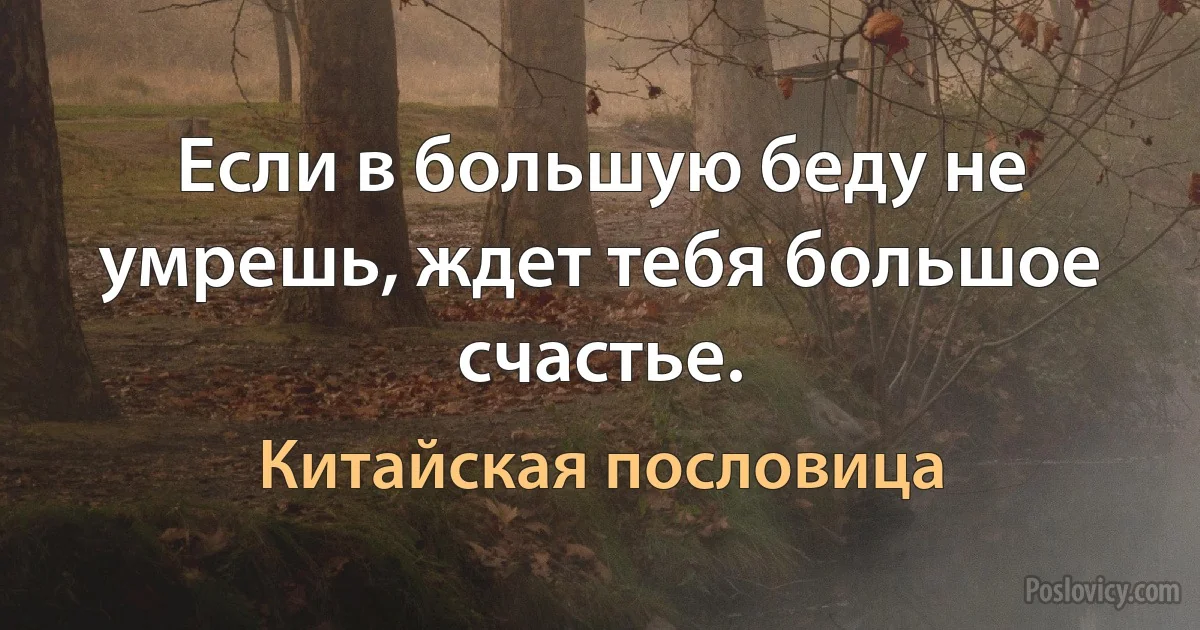 Если в большую беду не умрешь, ждет тебя большое счастье. (Китайская пословица)