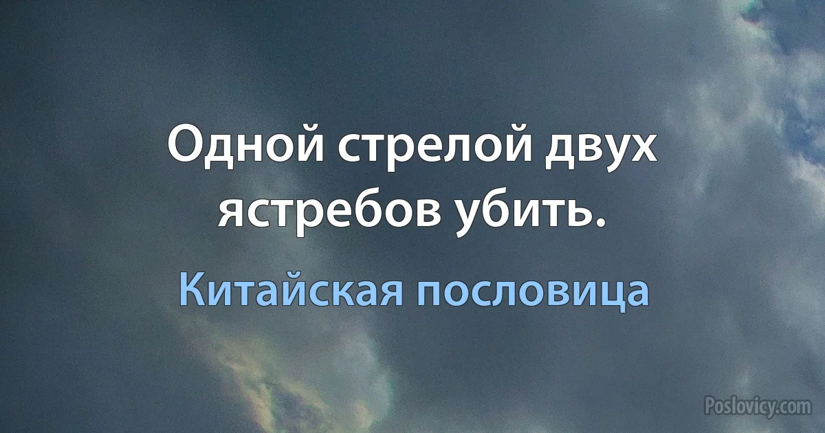 Одной стрелой двух ястребов убить. (Китайская пословица)