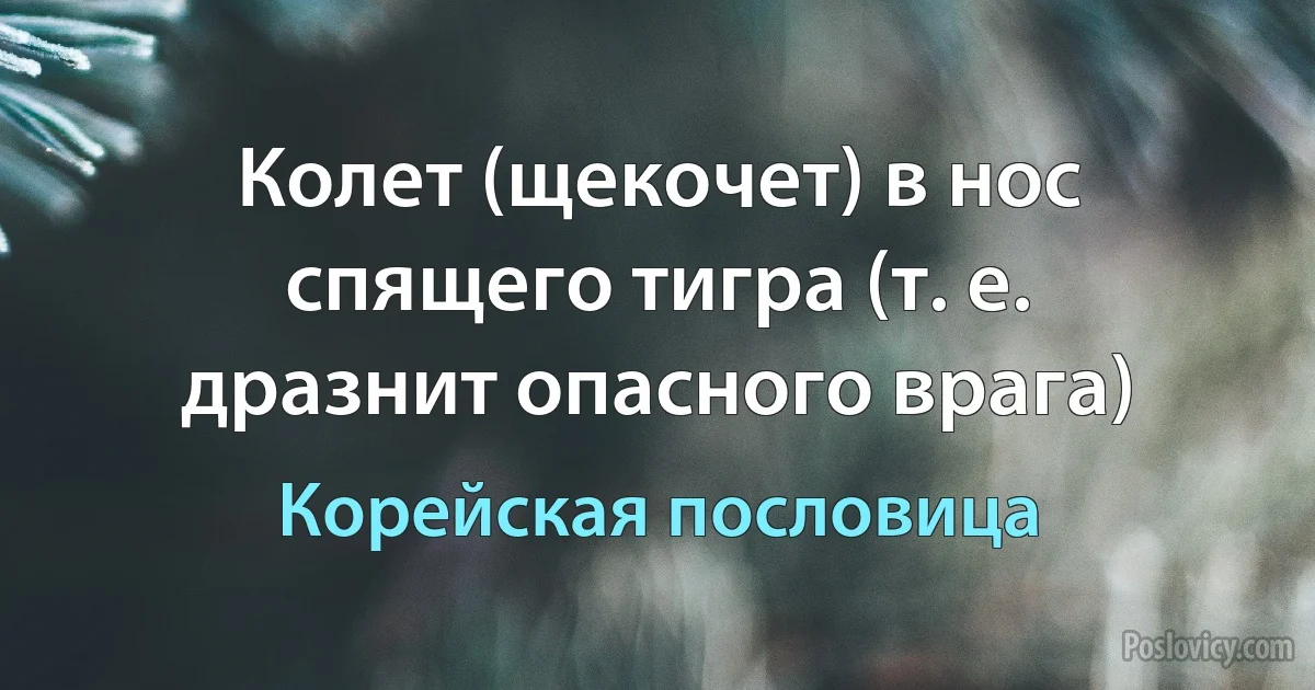 Колет (щекочет) в нос спящего тигра (т. е. дразнит опасного врага) (Корейская пословица)