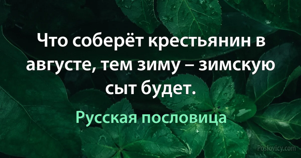 Что соберёт крестьянин в августе, тем зиму – зимскую сыт будет. (Русская пословица)