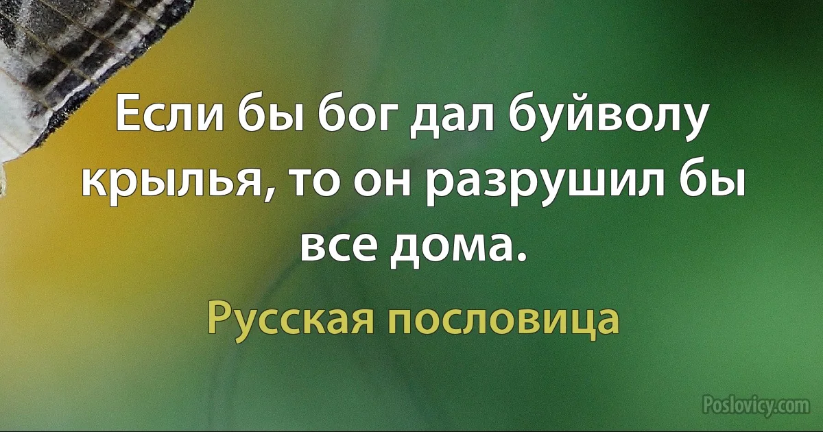 Если бы бог дал буйволу крылья, то он разрушил бы все дома. (Русская пословица)