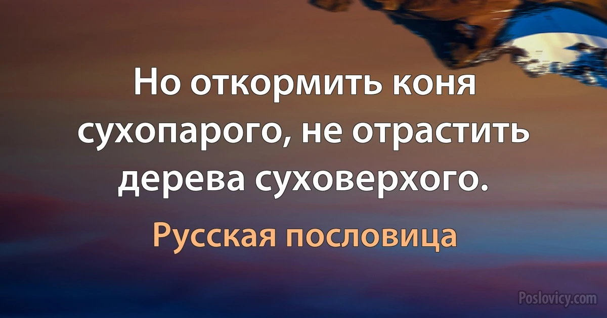 Но откормить коня сухопарого, не отрастить дерева суховерхого. (Русская пословица)