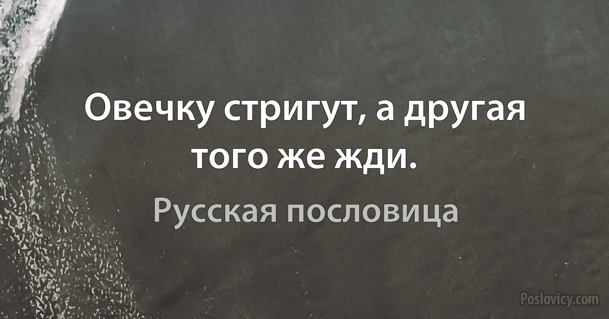 Овечку стригут, а другая того же жди. (Русская пословица)