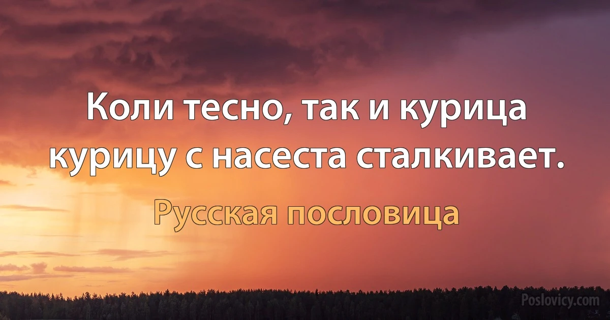 Коли тесно, так и курица курицу с насеста сталкивает. (Русская пословица)