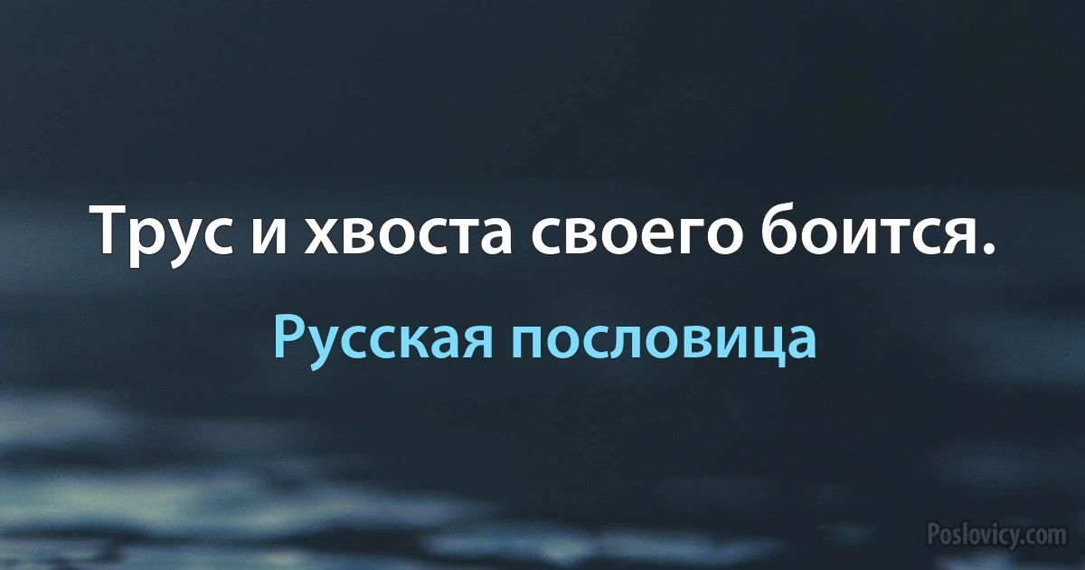 Трус и хвоста своего боится. (Русская пословица)