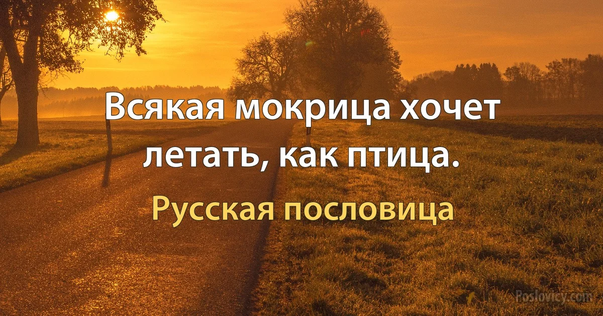 Всякая мокрица хочет летать, как птица. (Русская пословица)