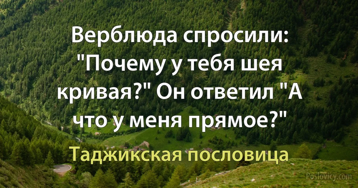 Верблюда спросили: "Почему у тебя шея кривая?" Он ответил "А что у меня прямое?" (Таджикская пословица)