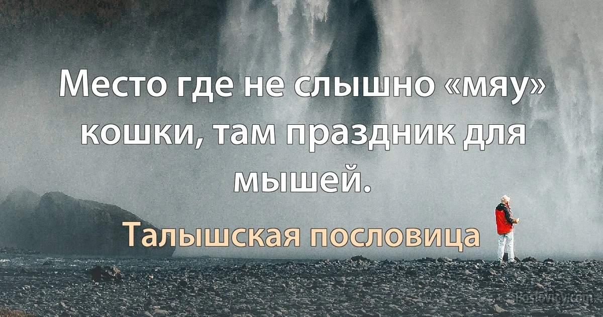 Место где не слышно «мяу» кошки, там праздник для мышей. (Талышская пословица)