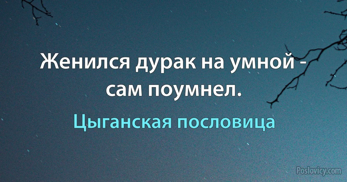 Женился дурак на умной - сам поумнел. (Цыганская пословица)