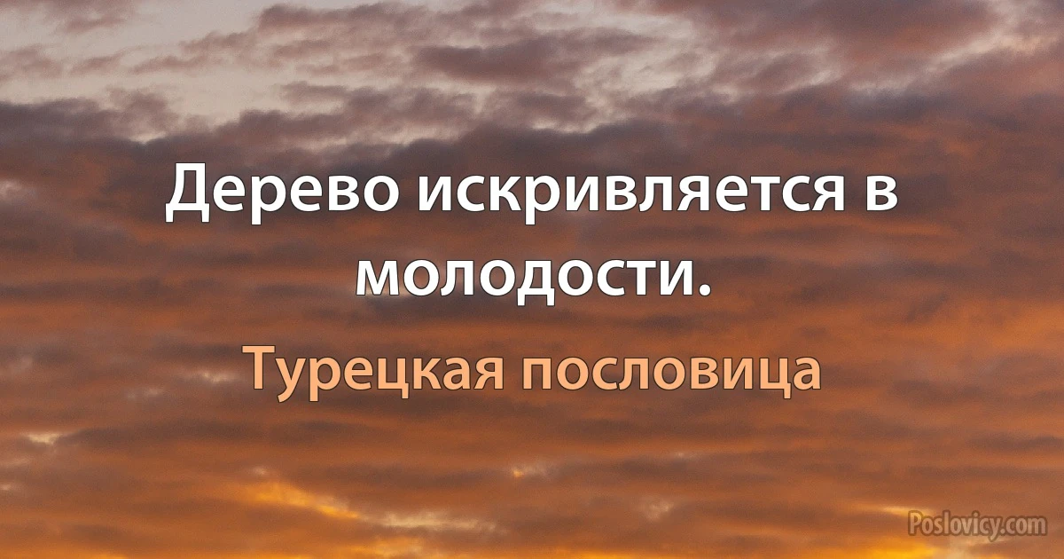 Дерево искривляется в молодости. (Турецкая пословица)