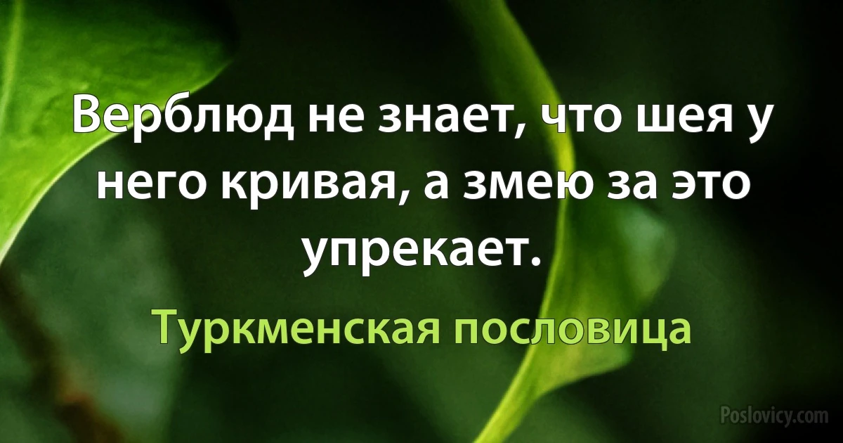 Верблюд не знает, что шея у него кривая, а змею за это упрекает. (Туркменская пословица)