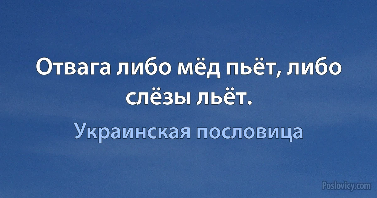 Отвага либо мёд пьёт, либо слёзы льёт. (Украинская пословица)