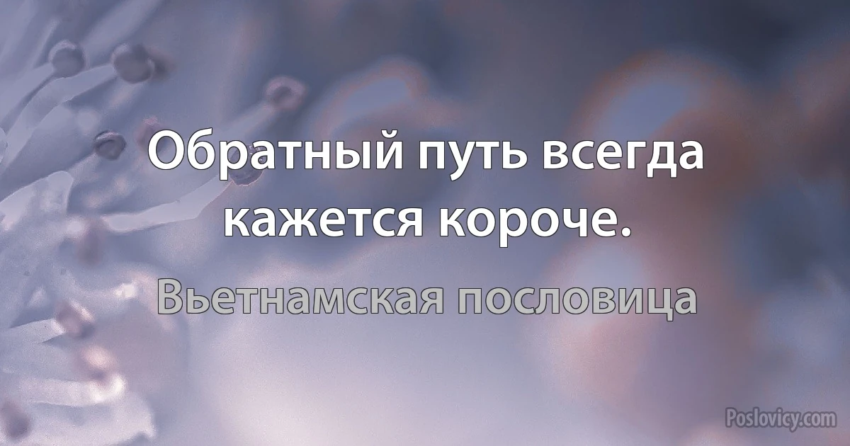 Обратный путь всегда кажется короче. (Вьетнамская пословица)