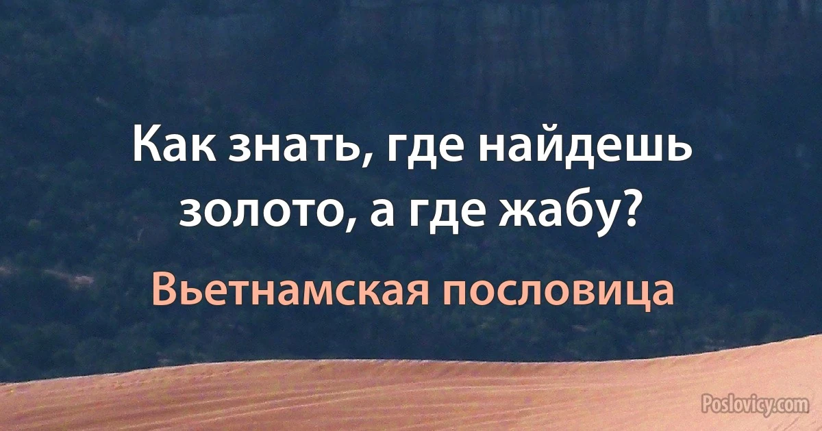 Как знать, где найдешь золото, а где жабу? (Вьетнамская пословица)