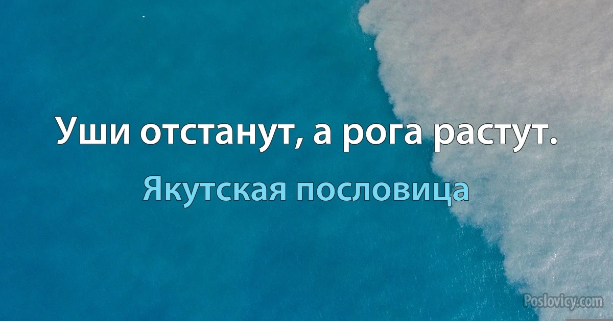 Уши отстанут, а рога растут. (Якутская пословица)