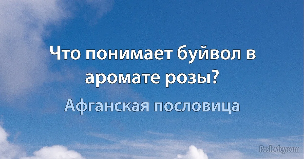 Что понимает буйвол в аромате розы? (Афганская пословица)