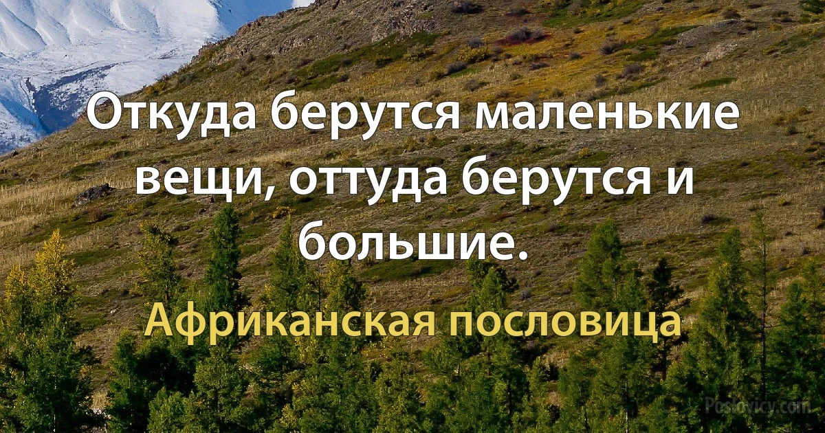 Откуда берутся маленькие вещи, оттуда берутся и большие. (Африканская пословица)