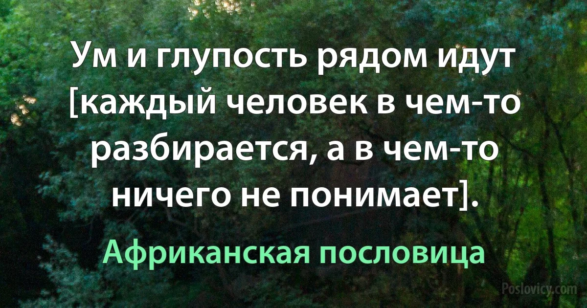 Ум и глупость рядом идут [каждый человек в чем-то разбирается, а в чем-то ничего не понимает]. (Африканская пословица)