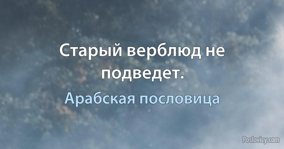 Старый верблюд не подведет. (Арабская пословица)