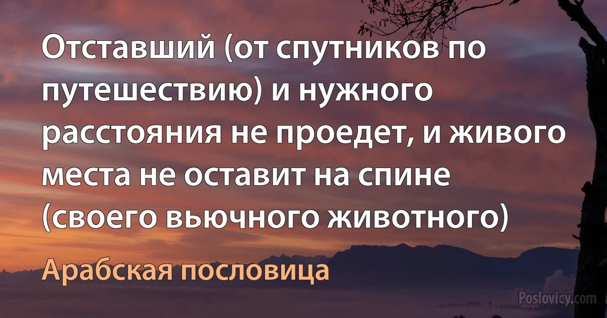 Отставший (от спутников по путешествию) и нужного расстояния не проедет, и живого места не оставит на спине (своего вьючного животного) (Арабская пословица)