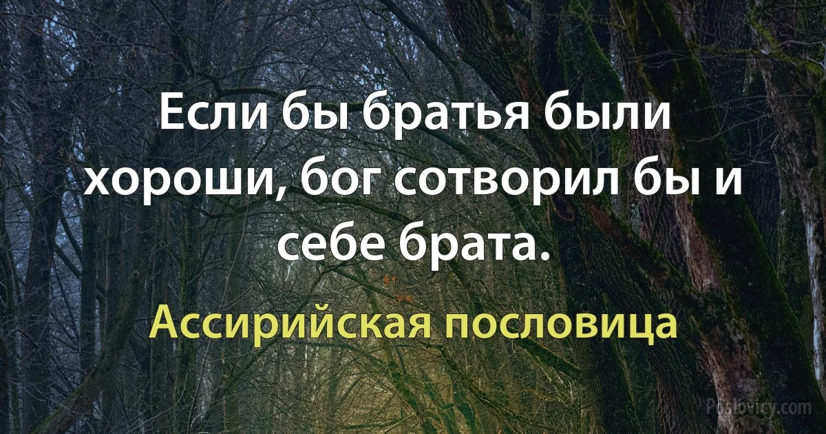 Если бы братья были хороши, бог сотворил бы и себе брата. (Ассирийская пословица)