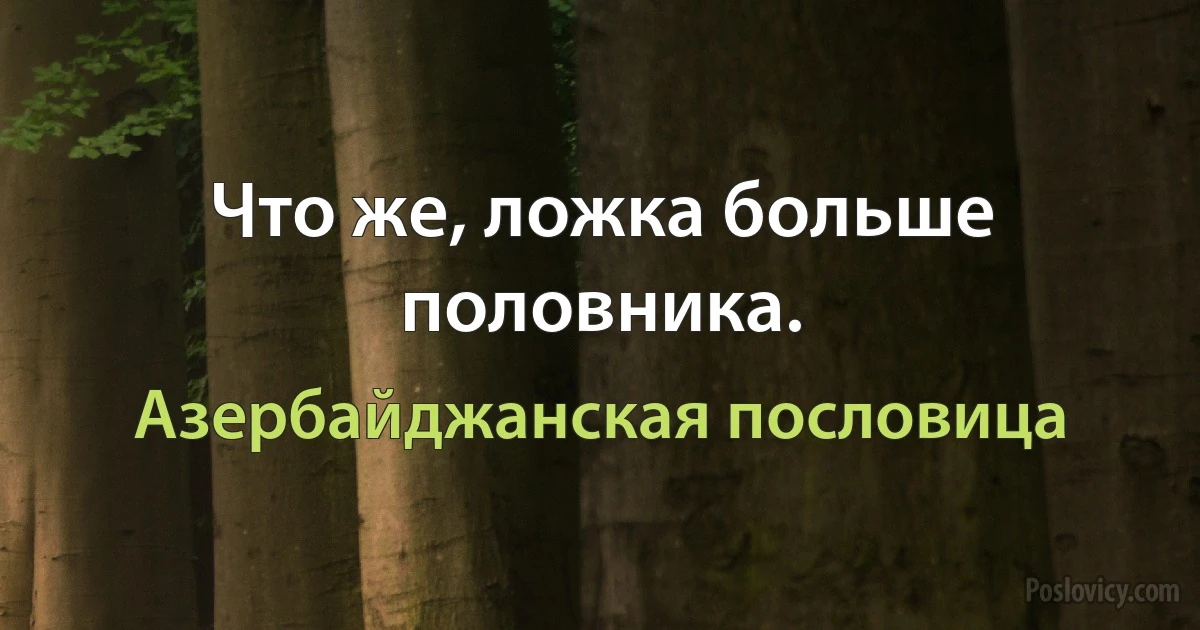 Что же, ложка больше половника. (Азербайджанская пословица)