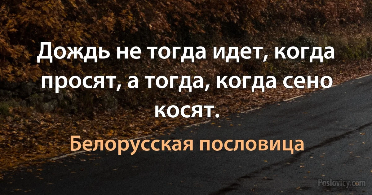 Дождь не тогда идет, когда просят, а тогда, когда сено косят. (Белорусская пословица)