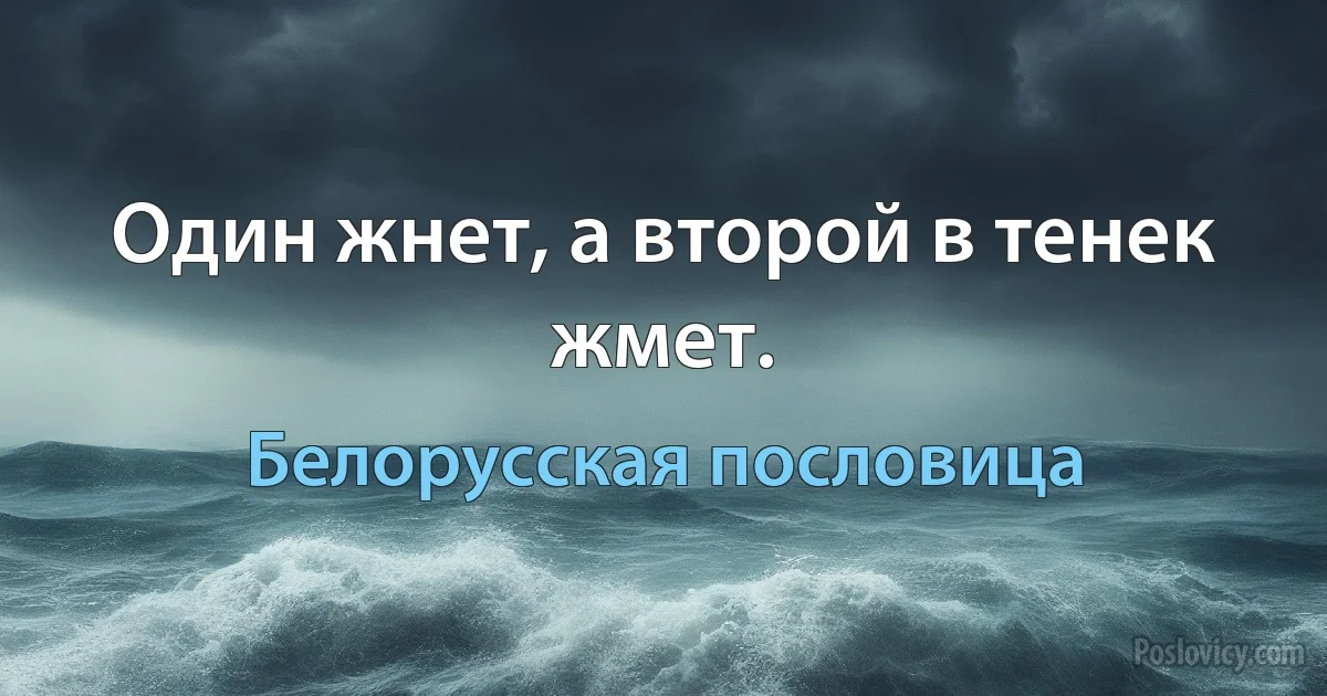 Один жнет, а второй в тенек жмет. (Белорусская пословица)