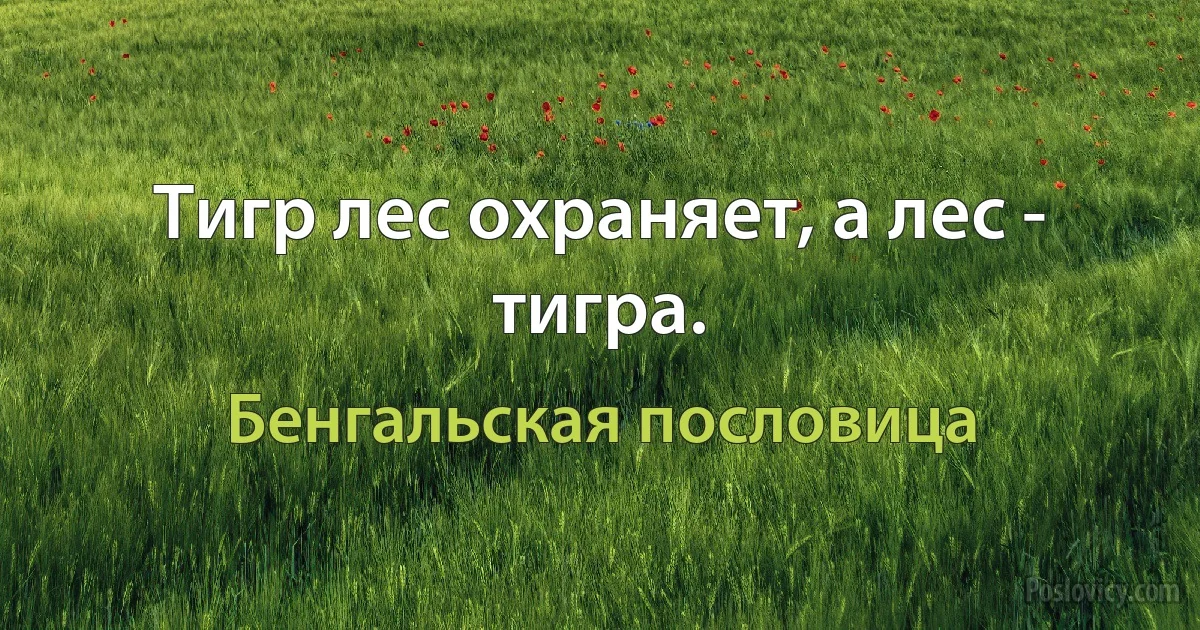 Тигр лес охраняет, а лес - тигра. (Бенгальская пословица)