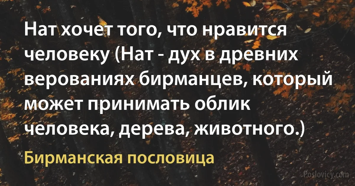 Нат хочет того, что нравится человеку (Нат - дух в древних верованиях бирманцев, который может принимать облик человека, дерева, животного.) (Бирманская пословица)