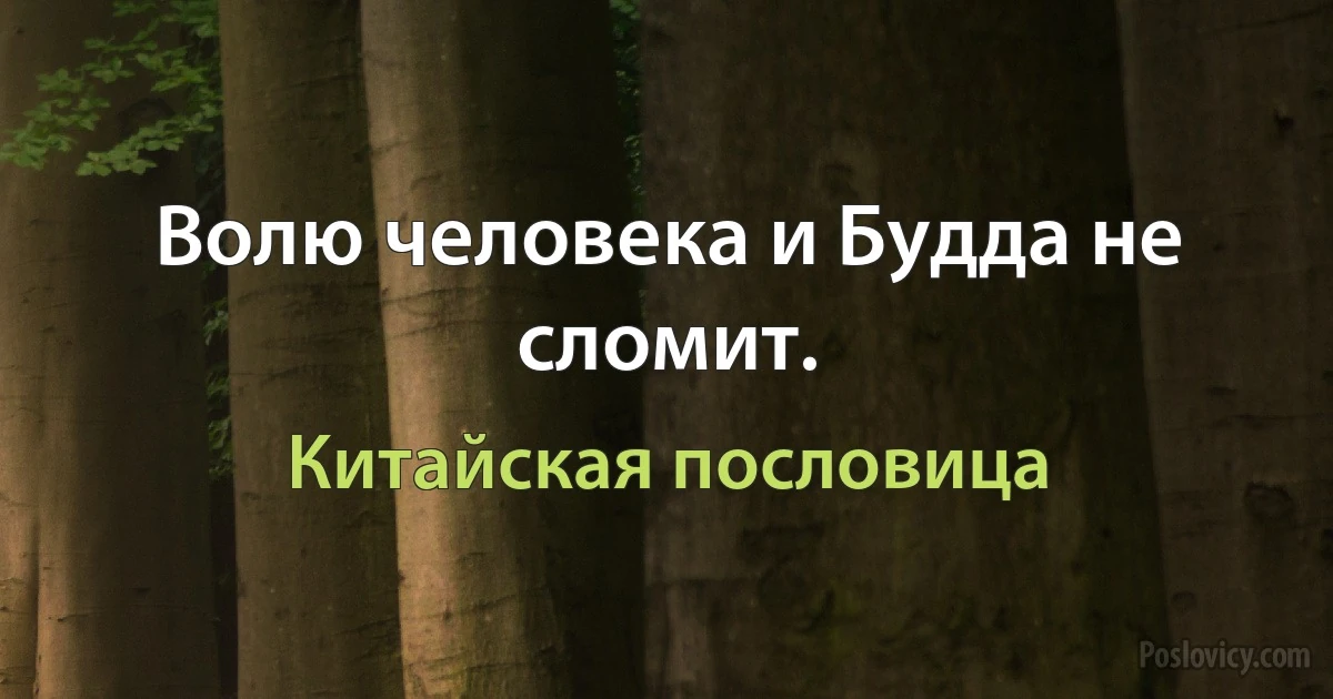 Волю человека и Будда не сломит. (Китайская пословица)