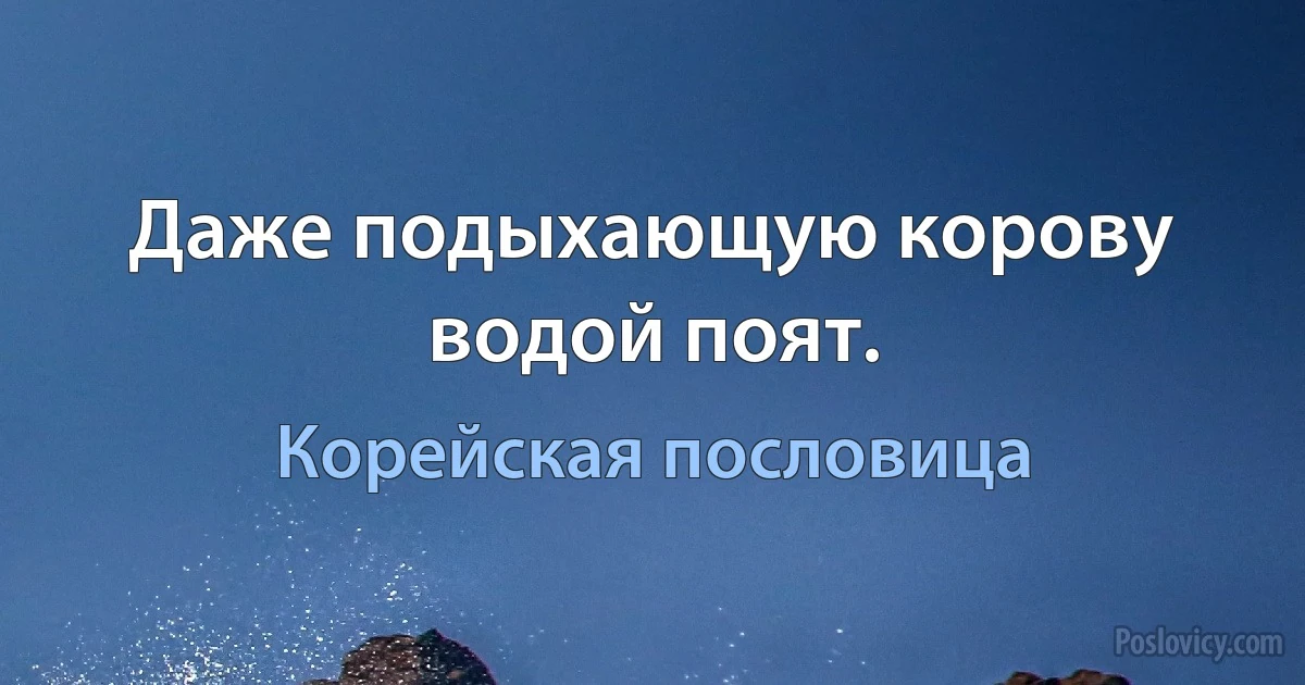 Даже подыхающую корову водой поят. (Корейская пословица)