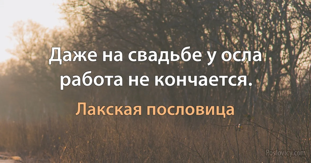 Даже на свадьбе у осла работа не кончается. (Лакская пословица)