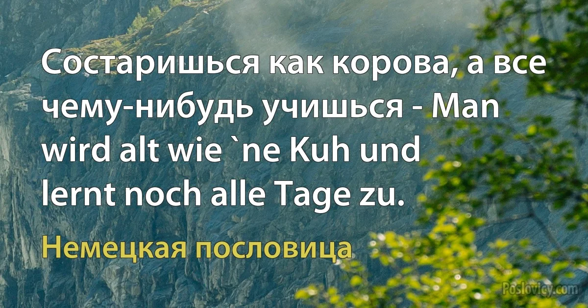 Состаришься как корова, а все чему-нибудь учишься - Man wird alt wie `ne Kuh und lernt noch alle Tage zu. (Немецкая пословица)