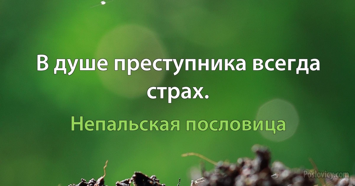 В душе преступника всегда страх. (Непальская пословица)