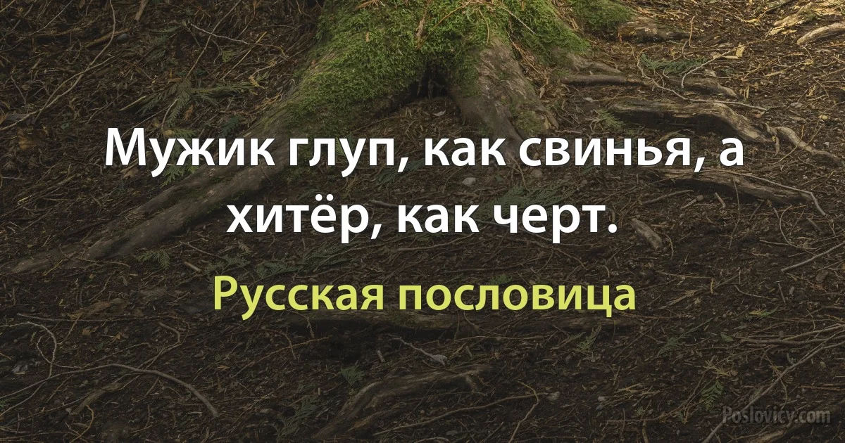 Мужик глуп, как свинья, а хитёр, как черт. (Русская пословица)